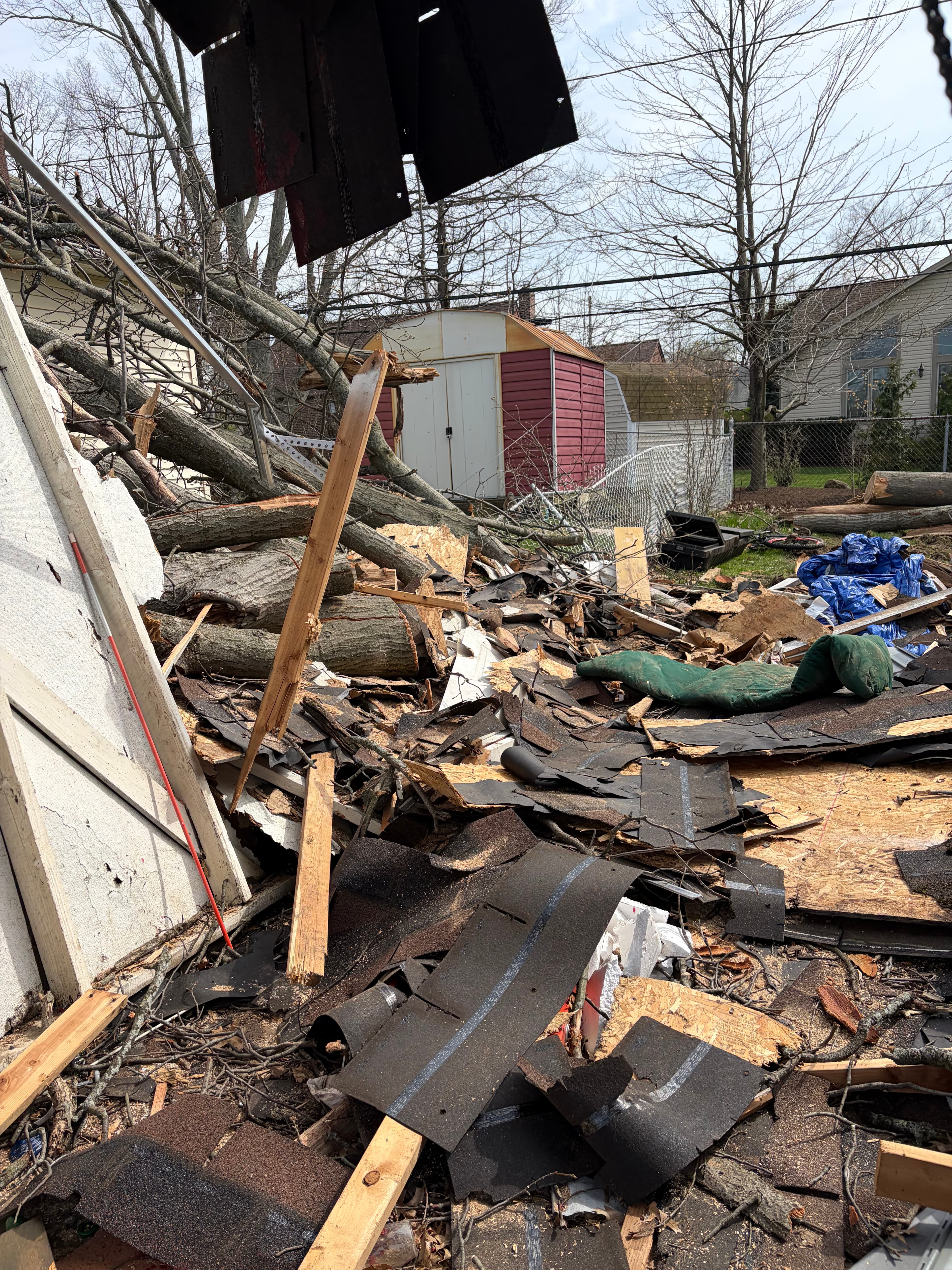 Emergency fallen tree removal after tree crushed structure — Cleveland area