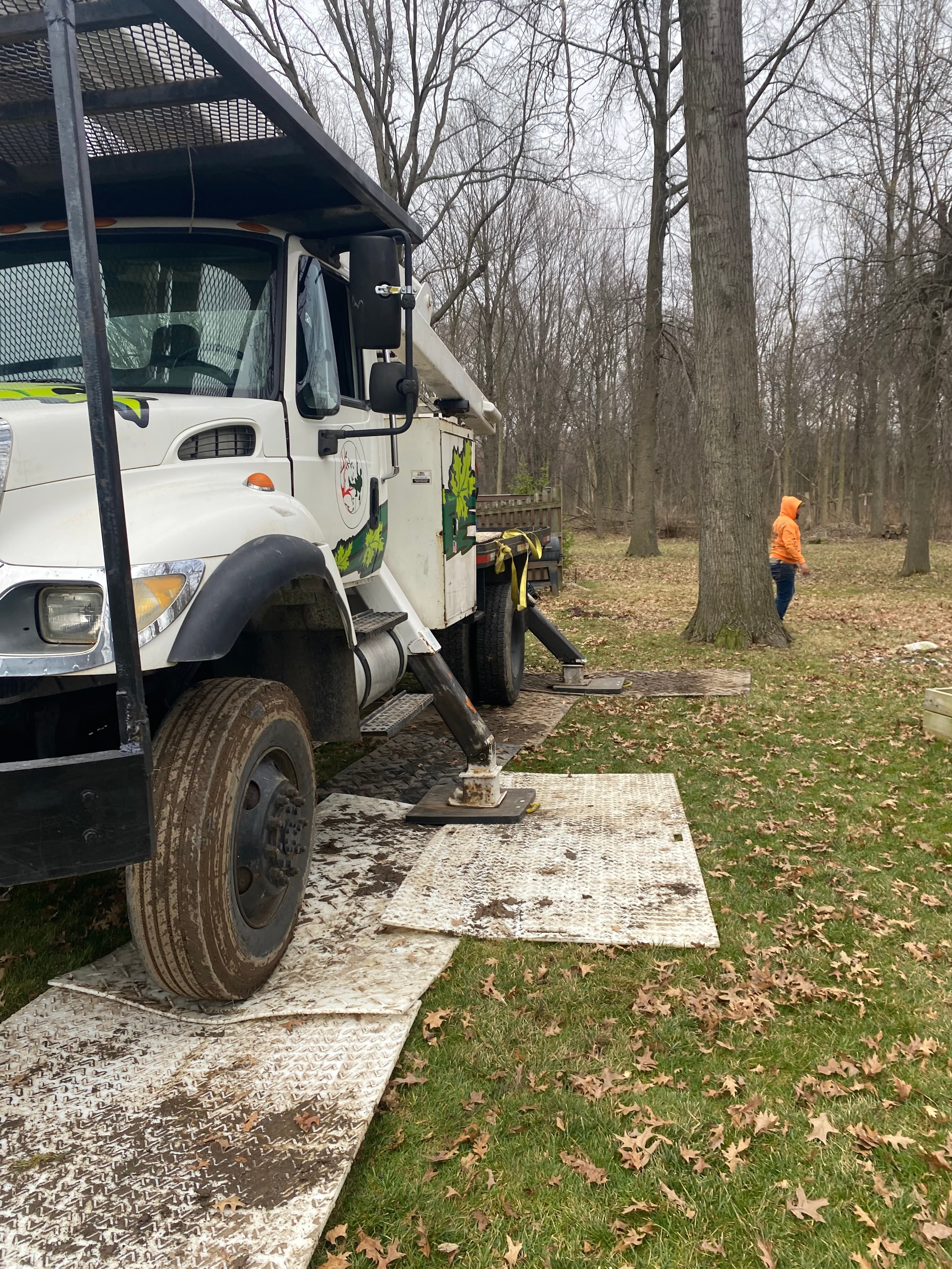Big Creek Tree Service crew — licensed and insured in Ohio
