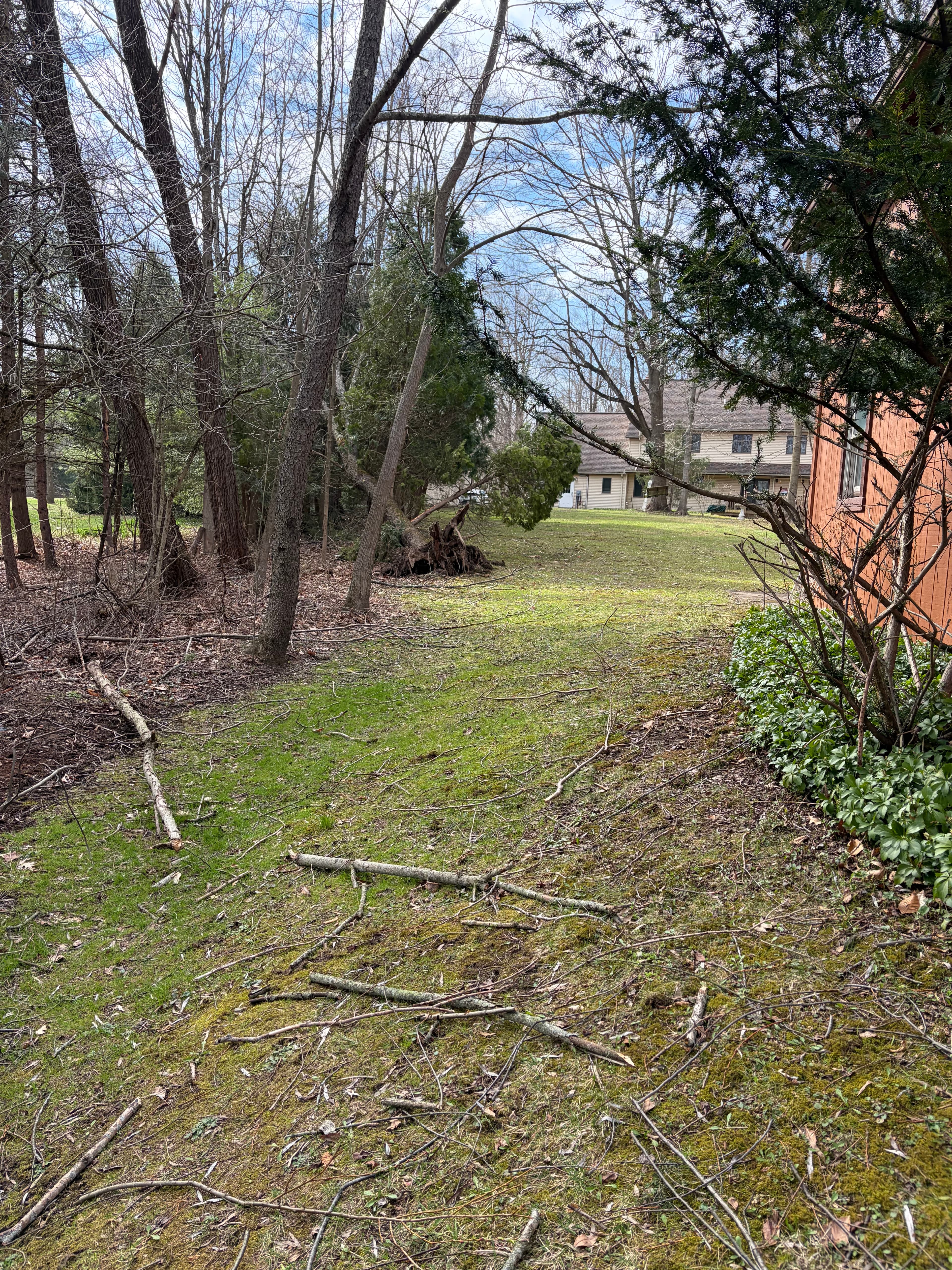 Land clearing service in Northeast Ohio
