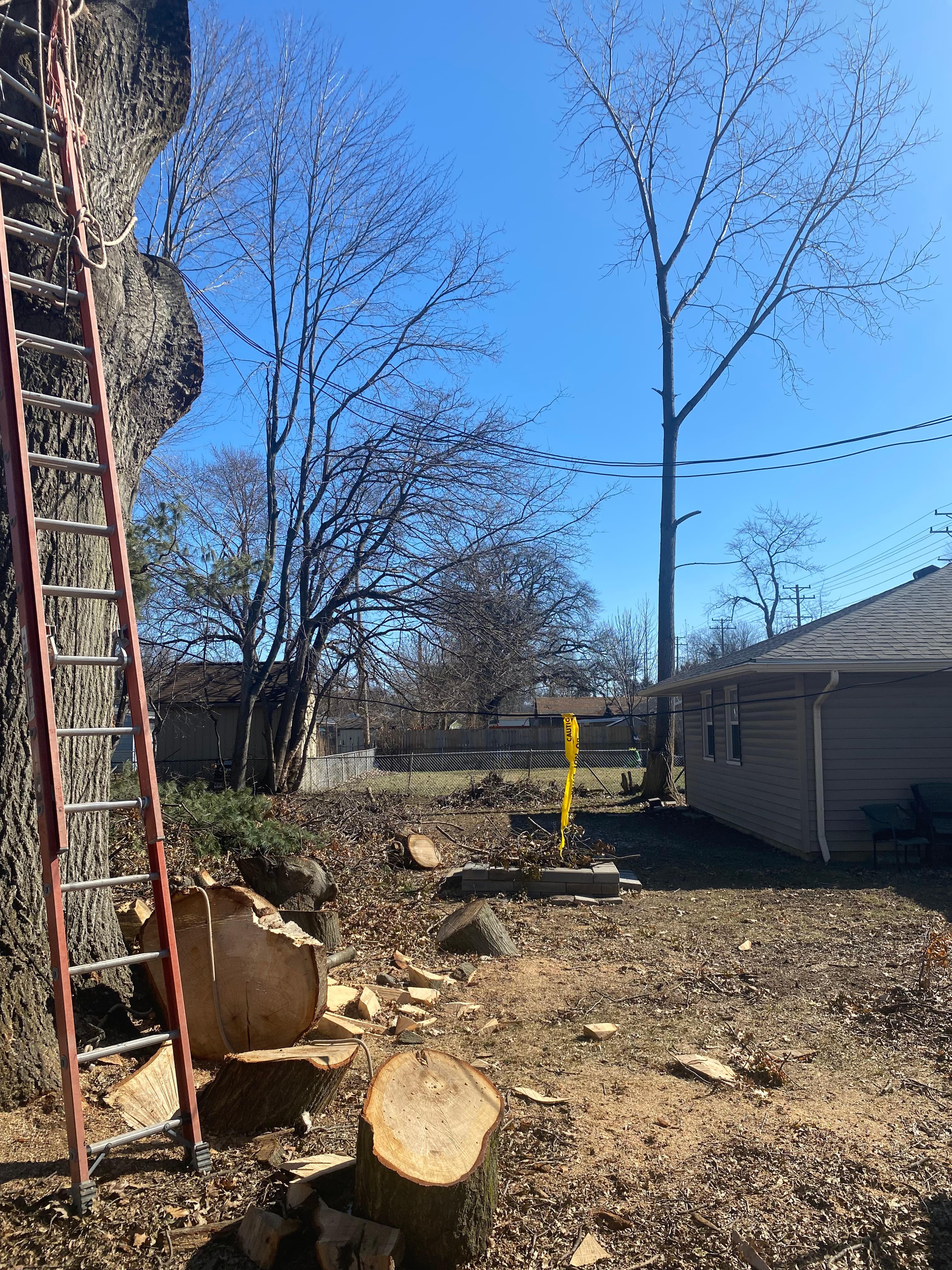 Property tree service and cleanup — Northeast Ohio